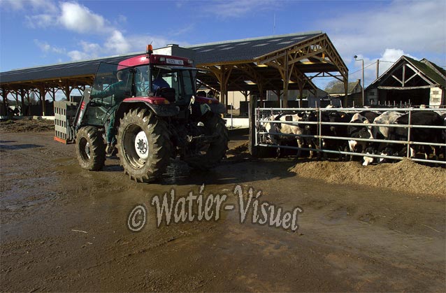 0069D053
