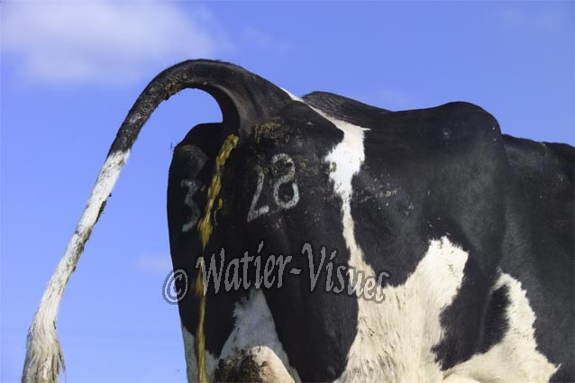 0521D283