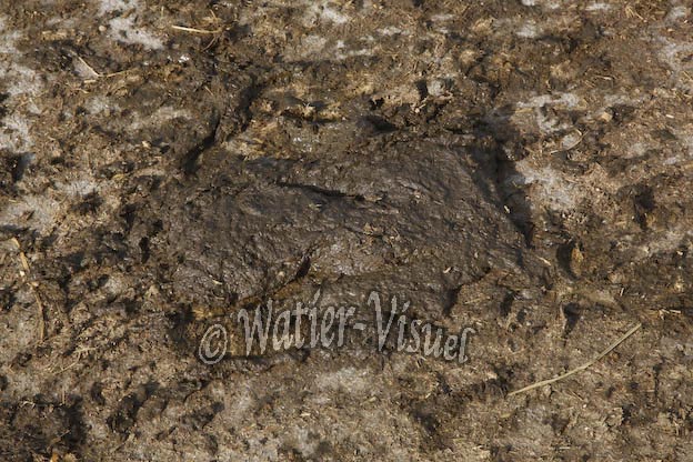 0835D014