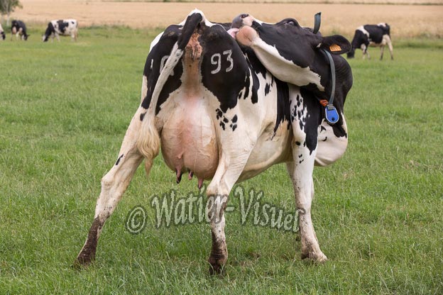 1043D492