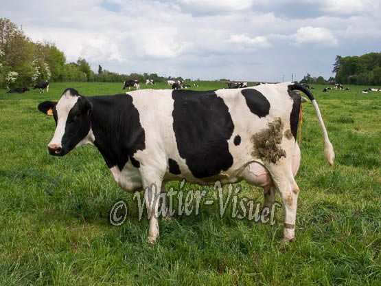 1081D589