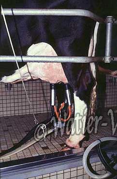 0702117