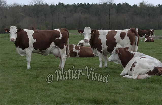0416D049