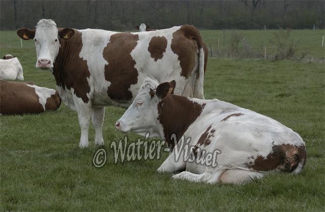 0416D050