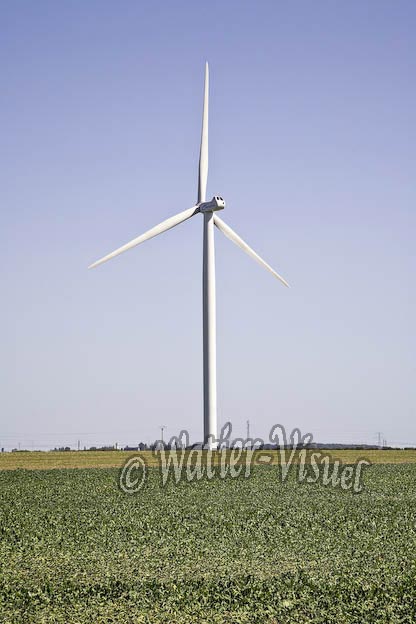 0701D191