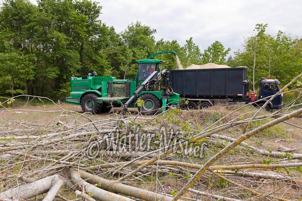 0956D597