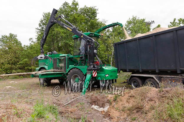 0956D599