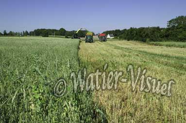 0538D100