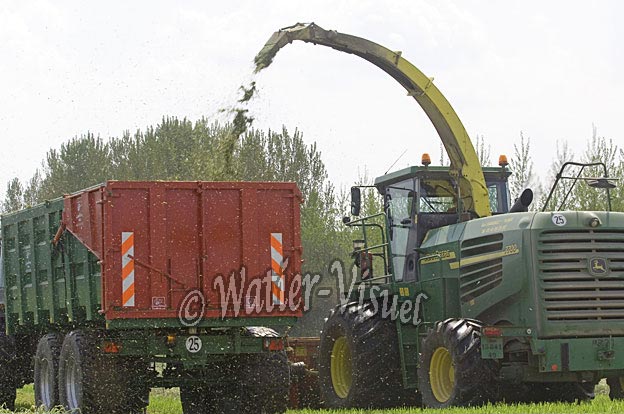 0671D248