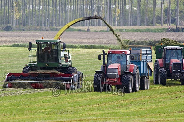 0671D259