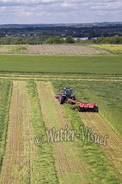 0679D250