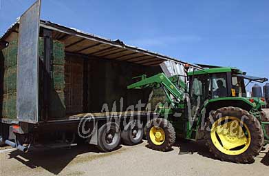 0385D004
