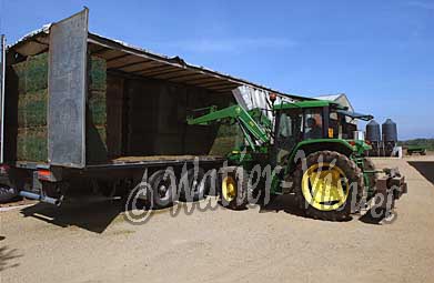 0385D005