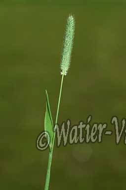0538D030