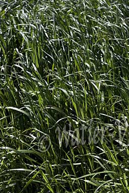 0582D101