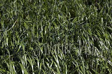 0582D110