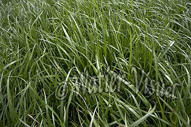 0583D013