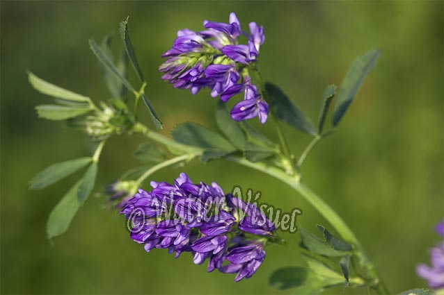 0625D257