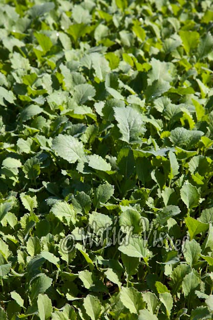 0949D901