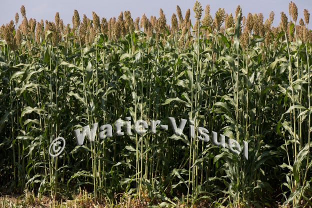1094D595