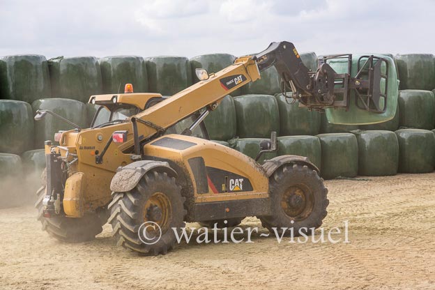 1145D807