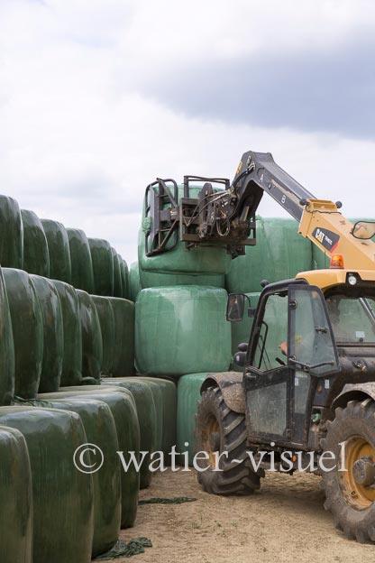 1145D812