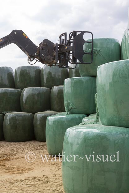 1145D820