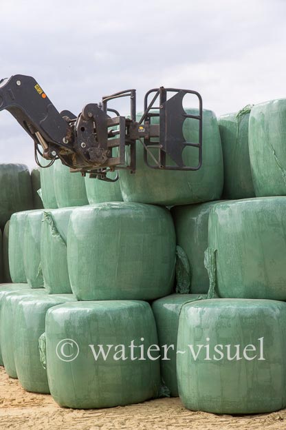 1145D828