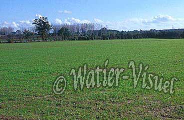 1812415