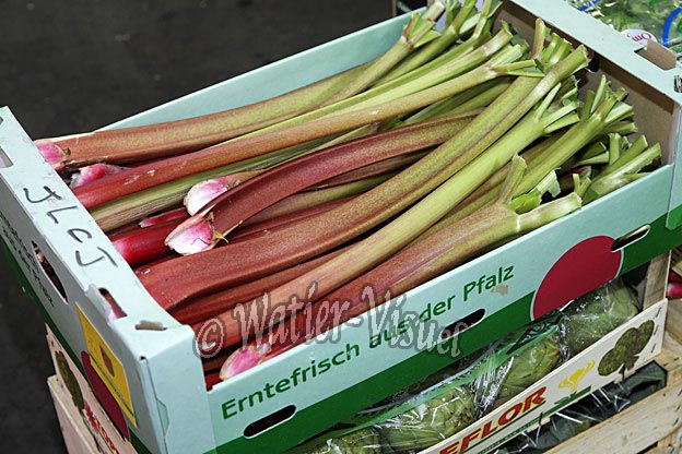 0736D356