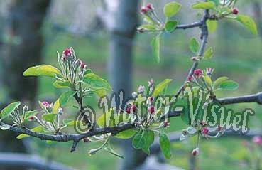 2200703