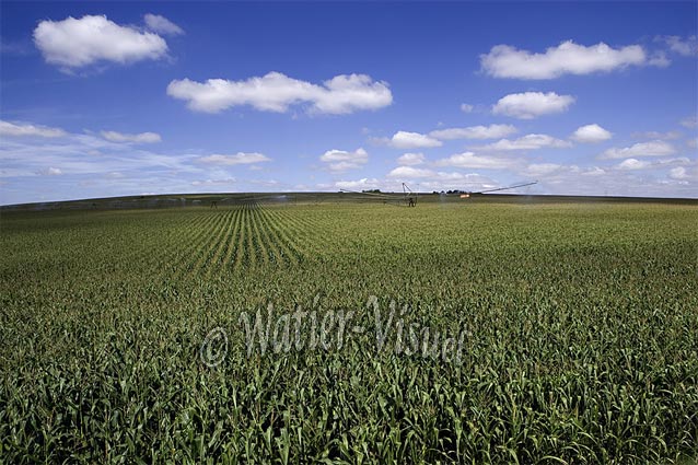 0626D097