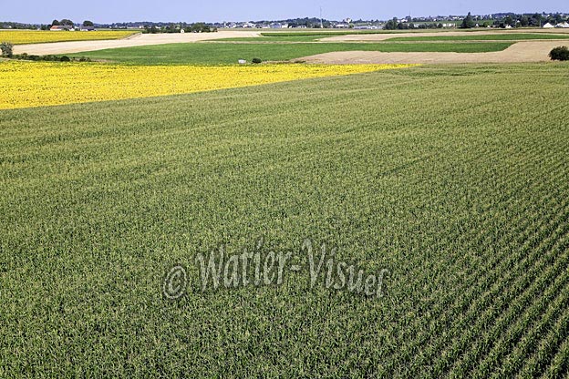 0688D090