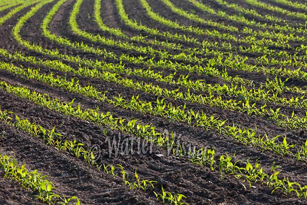 0968D845