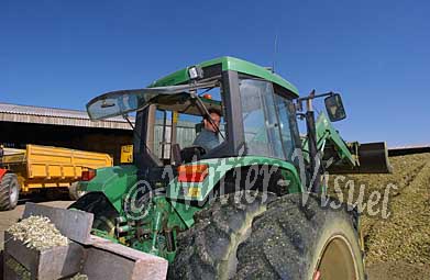 0391D040