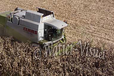 0506D037