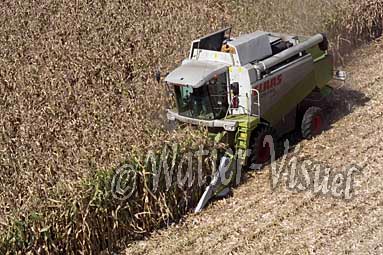 0506D042