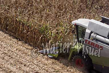 0506D044