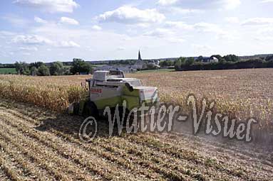 0506D125