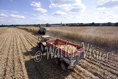 0506D126