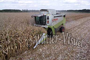 0506D197