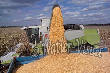0506D208