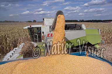 0506D211