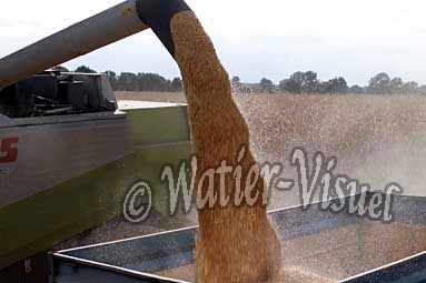 0506D267