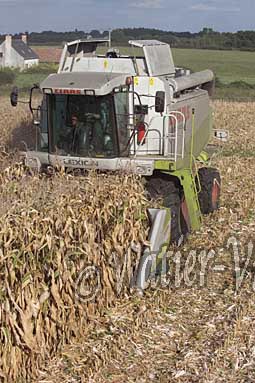 0506D270
