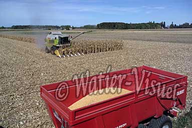 0507D101