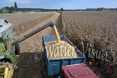 0507D106