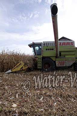 0507D151