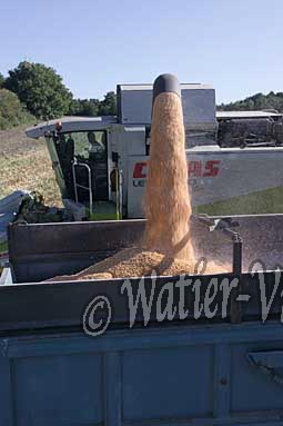 0507D194