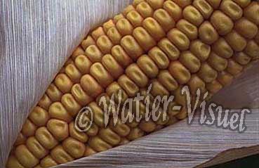0210101